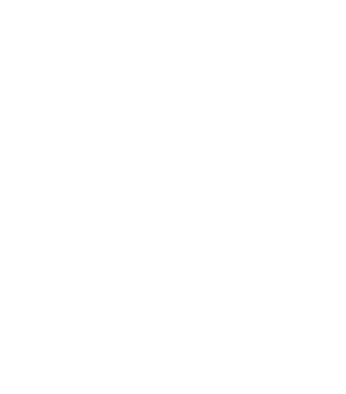 tiktok icon